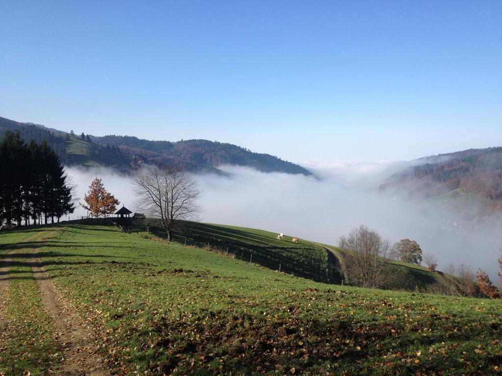 Gasthaus Zum Hirschen ชเตาเฟิน เอม บรายสเกา ภายนอก รูปภาพ